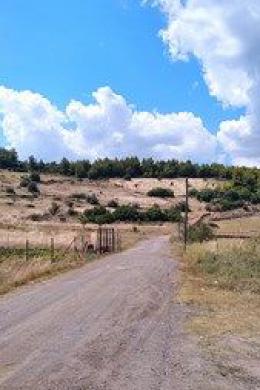 Plot Sale - Malesina, Phthiotis