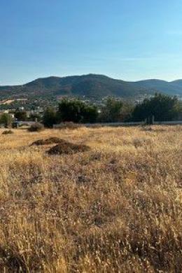 Plot Sale - Salamina, Attica Nearby Islands