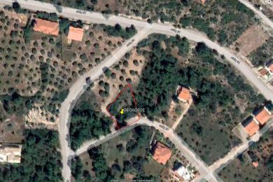 Plot Sale - Thiva, Boetia