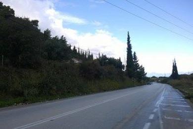 Agricultural Land Sale - Patra, Achaea