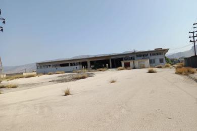 ιικόπεδο 17 στρέμματα
