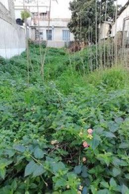 Plot Sale - Patra, Achaea
