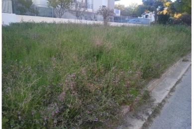 Plot Sale - Papagou, Attica Northern Suburbs