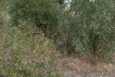 Χαλάνδρι, Οικόπεδο, Πώληση, 535 τ.μ